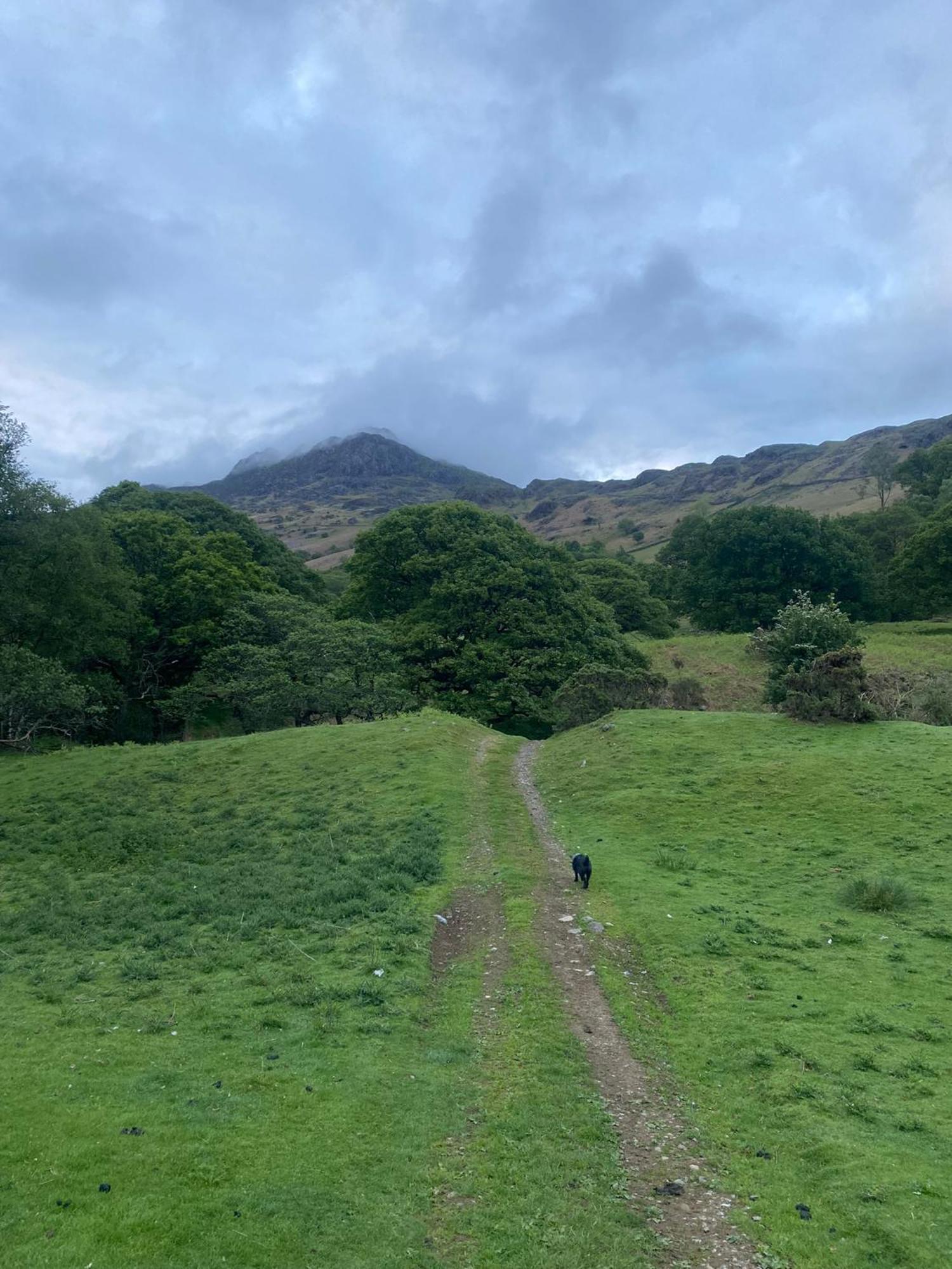 Cosy Glamping In The Eskdale Valley - Studio Lodges And Mega Pods Esterno foto