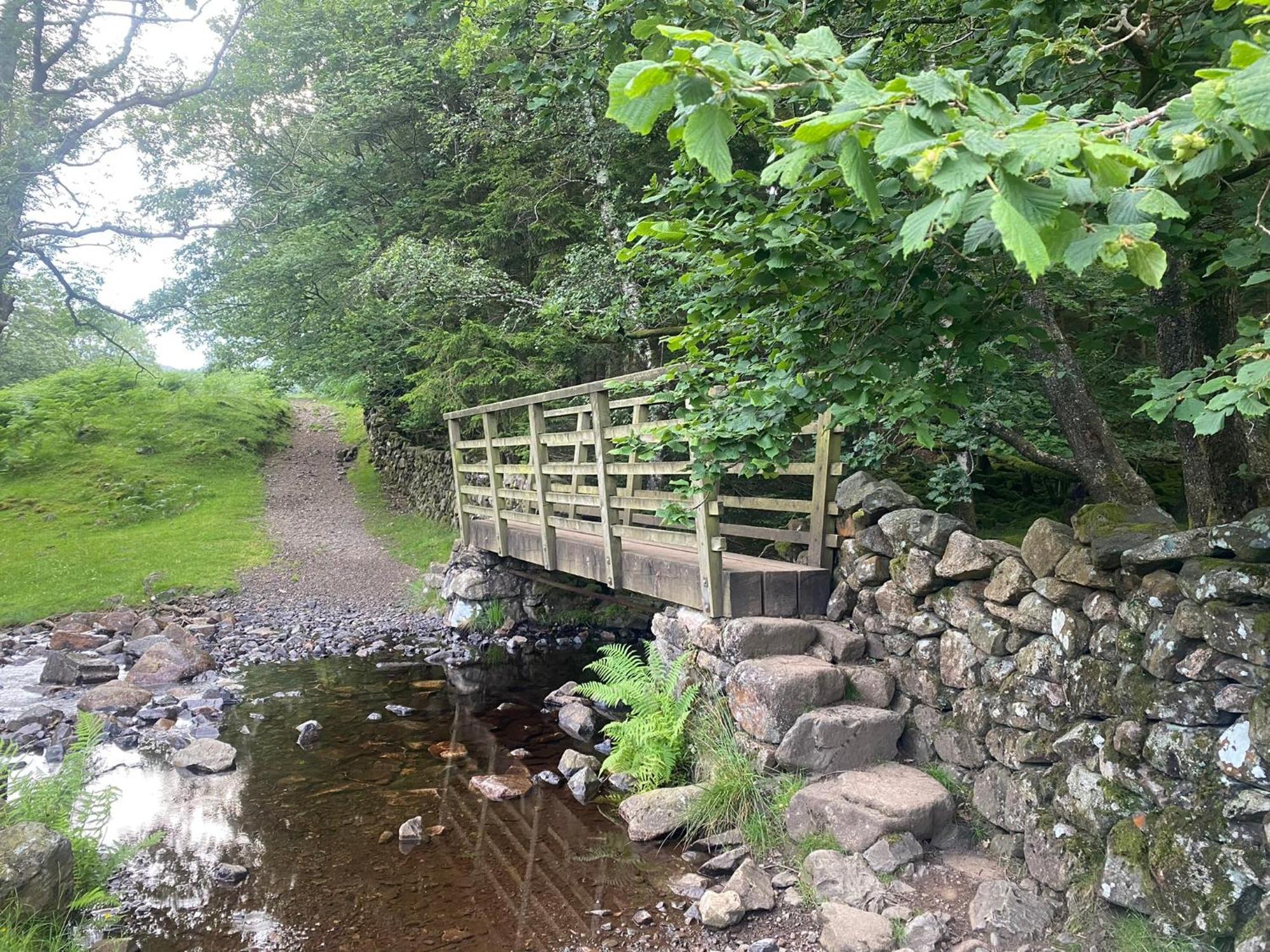 Cosy Glamping In The Eskdale Valley - Studio Lodges And Mega Pods Esterno foto