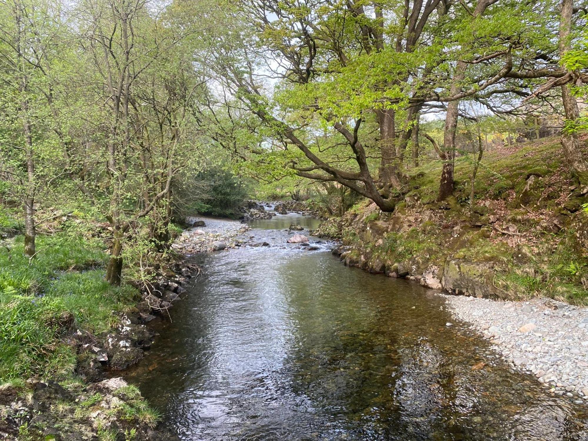 Cosy Glamping In The Eskdale Valley - Studio Lodges And Mega Pods Esterno foto